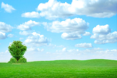 Similar image 556565