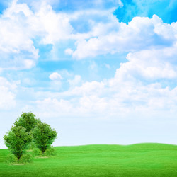 Similar image 556566