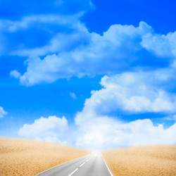 Similar image 556573