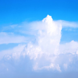 Similar image 556585