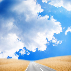 Similar image 556588