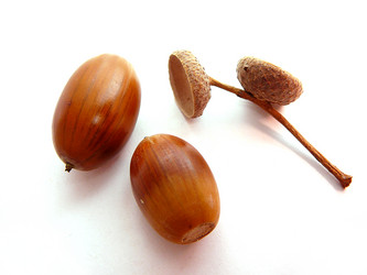 Similar image 556612