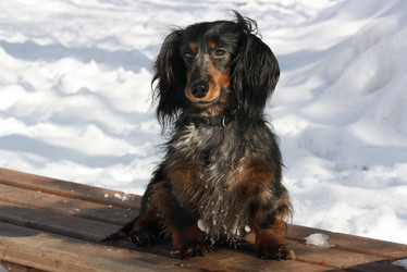 Similar image 556622