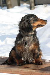 Similar image 556625