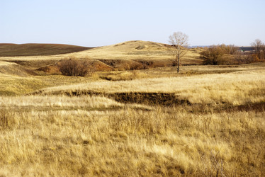 Similar image 556633