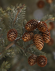 Similar image 556648