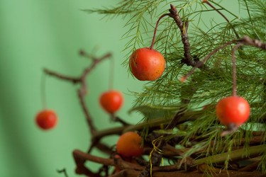 Similar image 556686