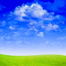 Similar image 556692