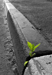 Similar image 556718