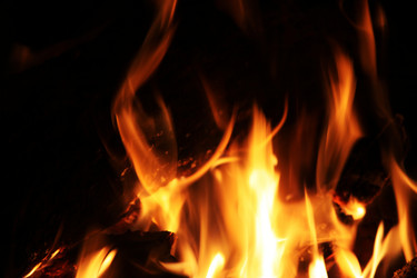 Similar image 556905