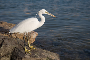 Similar image 556973