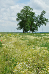 Similar image 556975