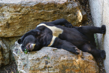 Similar image 556996