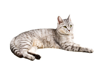 Similar image 557006