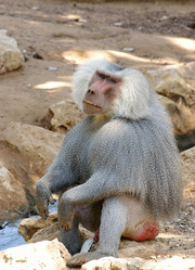 Similar image 557018