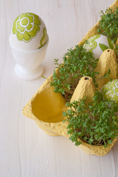 Similar image 557027