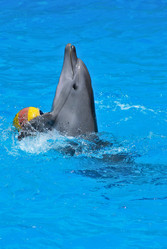 Similar image 557072