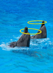 Similar image 557093