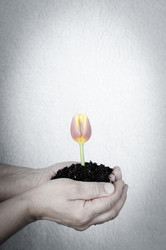 Similar image 557224