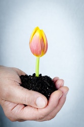 Similar image 557226