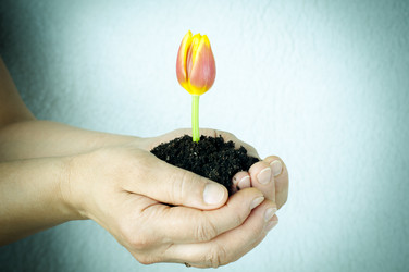 Similar image 557227