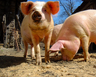 Similar image 557335