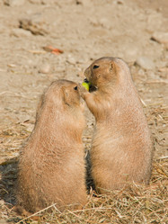 Similar image 557357