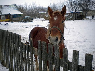 Similar image 557359