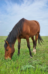 Similar image 557360