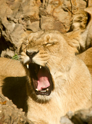 Similar image 557423