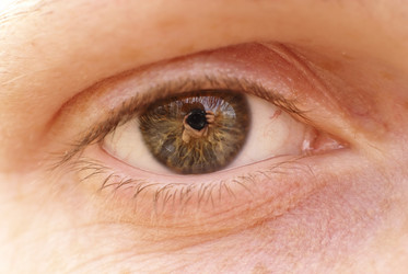 Similar image 557426