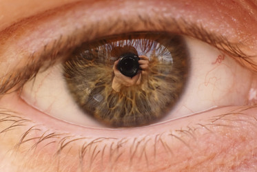 Similar image 557429