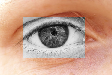 Similar image 557433