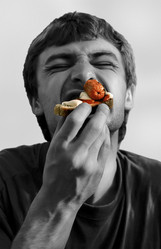 Similar image 557442