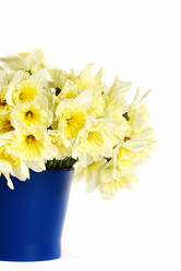 Similar image 557446