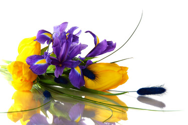 Similar image 557461