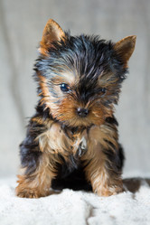 Similar image 557485