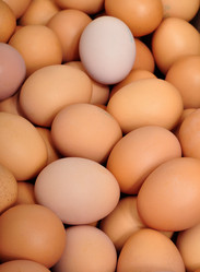 Similar image 557633