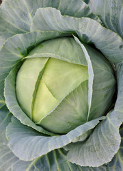 Similar image 557642