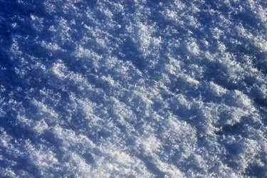 Similar image 557649