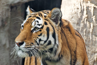 Similar image 557651