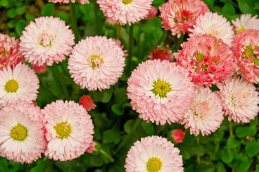 Similar image 557662