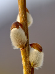 Similar image 557694