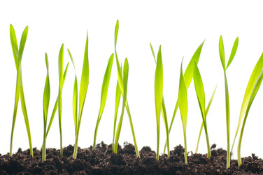 Similar image 557701