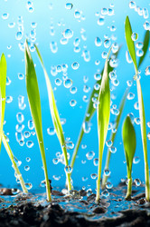 Similar image 557703