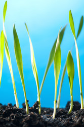 Similar image 557705