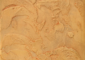 Similar image 557865