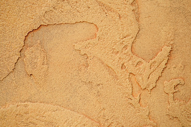 Similar image 557871