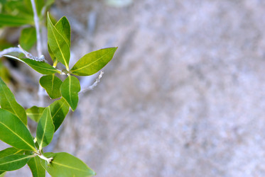 Similar image 557879