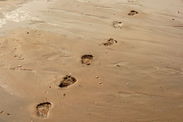 Similar image 557884